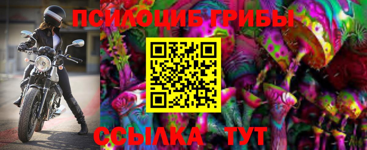 Галлюциногенные грибы Psilocybe Тайшет